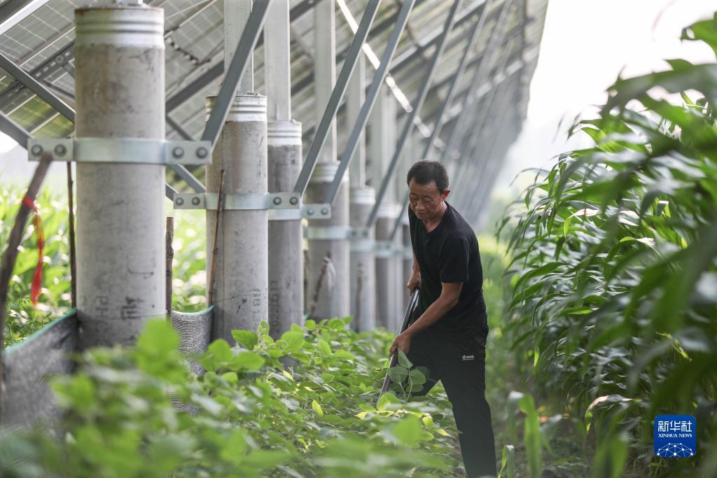 fg游戏网
